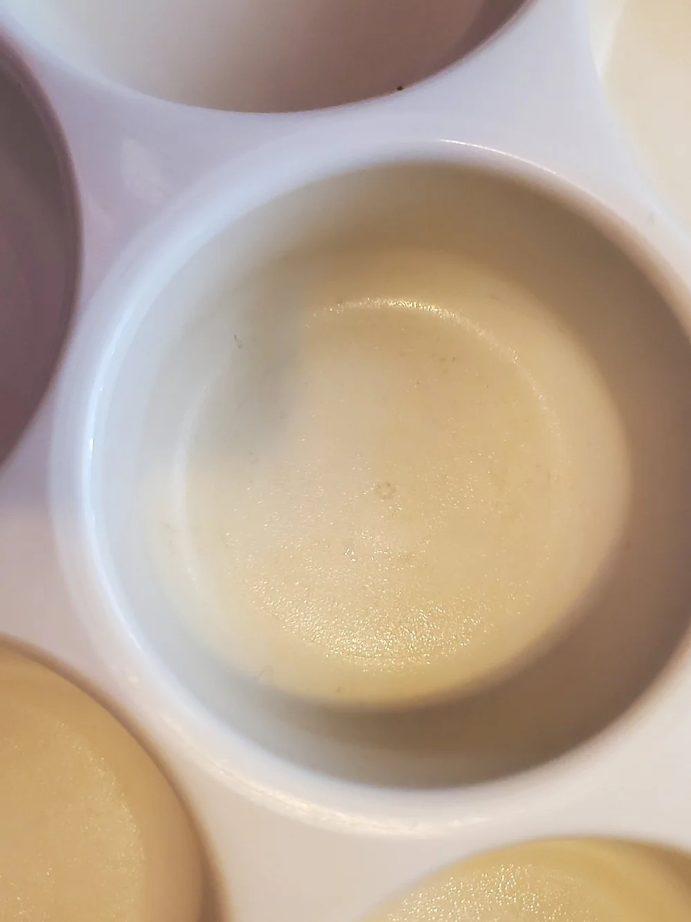 Tupperware gently used
